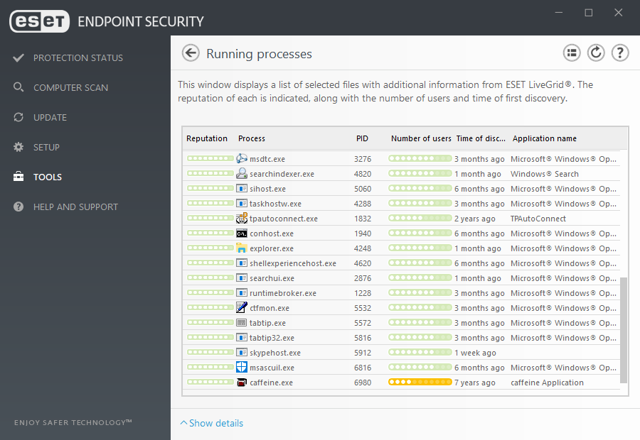 ESET EEA Windows Network Details