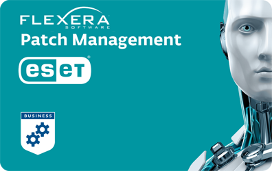 Flexera - Corporate Software Inspector