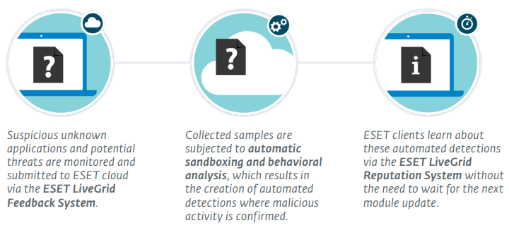 Cloud Malware Protection System